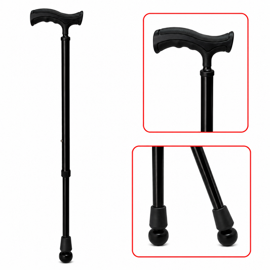 Walking Stick