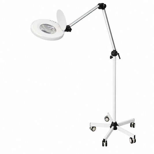 Magnifier With Light